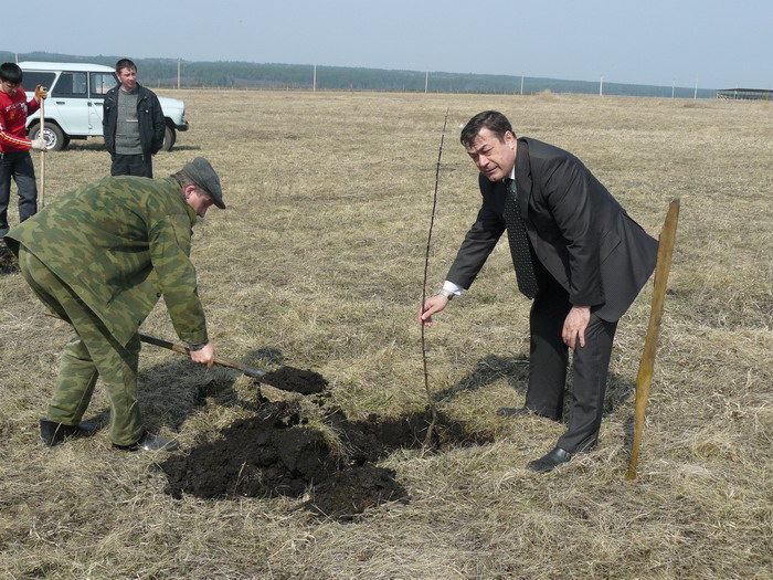 На Шемуршинском ипподроме заложена яблоневая аллея